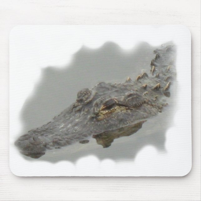 alligator mouse pad (Front)