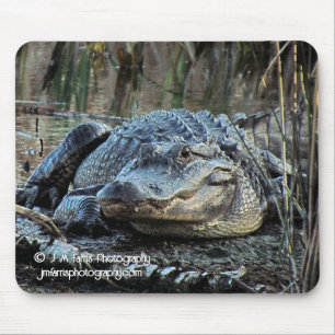 Alligator Mouse Pad