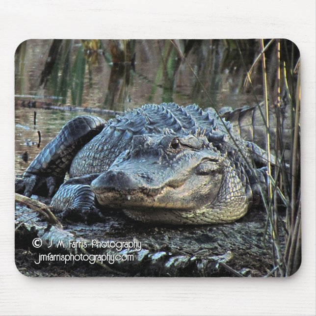 Alligator Mouse Pad (Front)