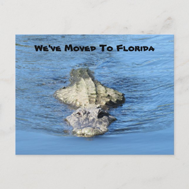 Alligator Moved to Florida - New Address Post Card (Front)