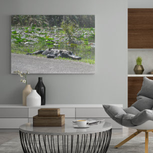 Alligator on Alligator Alley, Fl Poster