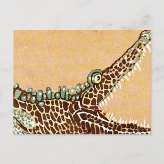 Alligator Postcard (Front)