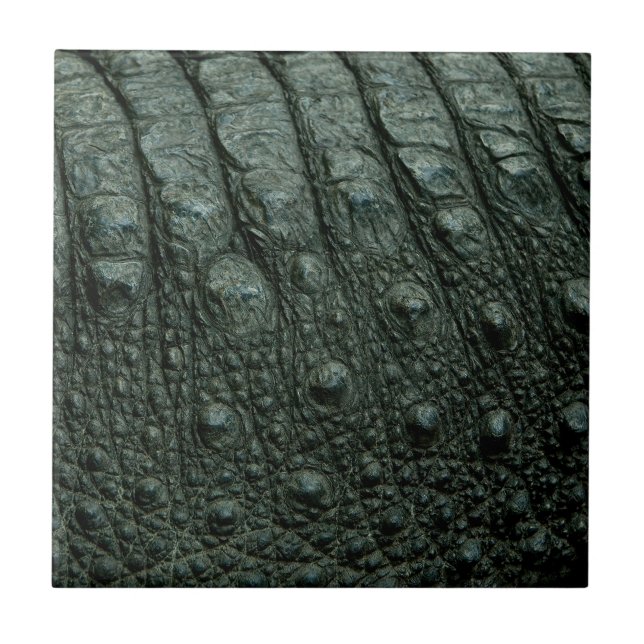 Alligator Print Tile (Front)