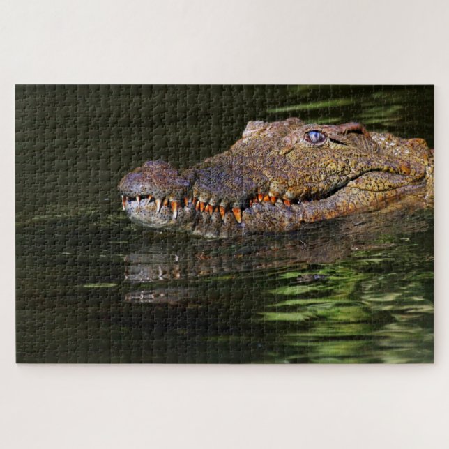 Alligator Puzzle (Horizontal)