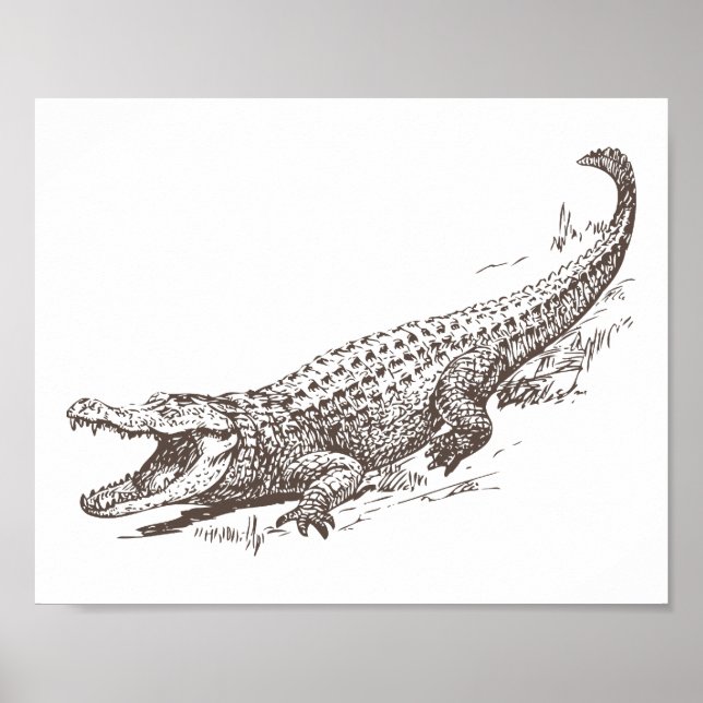 Alligator Realistic Illustration Poster (Front)