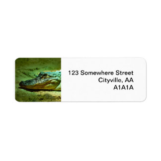 Alligator Return Address Label