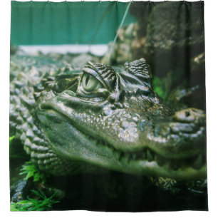 Alligator Shower Curtain