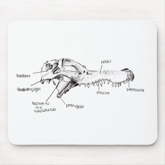 Alligator Skull Diagram Mouse Pad (Front)