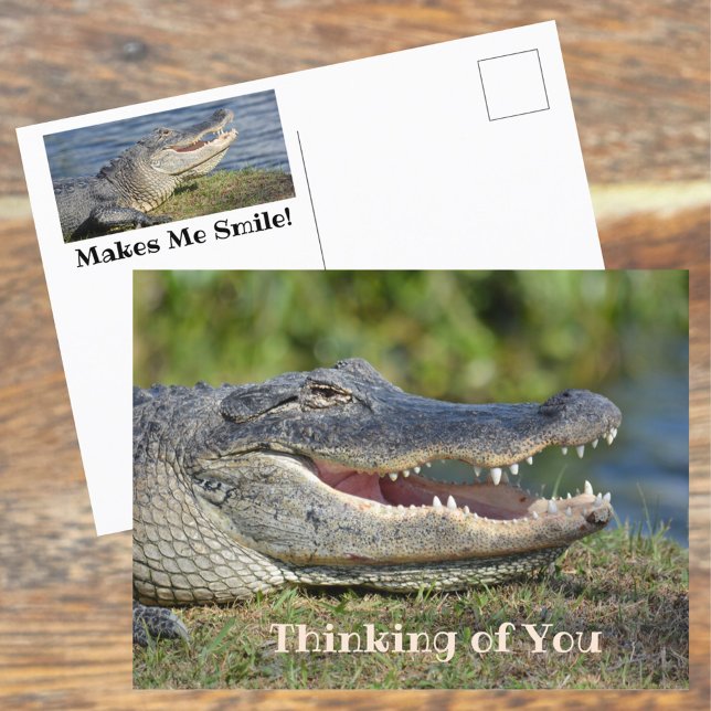Alligator Smiling Thinking of You Postcard (Creator Uploaded)