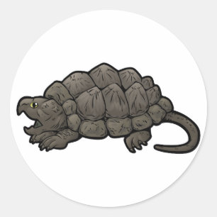 Alligator Snapping Turtle Classic Round Sticker