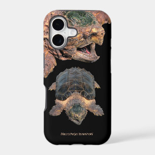 Alligator snapping turtle iPhone Case,No.2