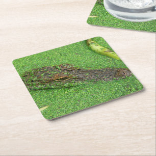 Alligator Square Paper Coaster