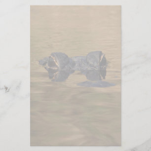 alligator stationery