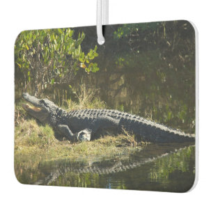 Alligator Sunbathing on Riverbank Florida Car Air Freshener