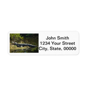 Alligator Sunbathing Personalise Return Address Label