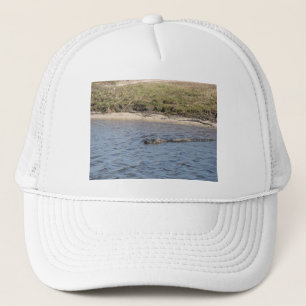 Alligator Swimming in the Florida Water Trucker Hat