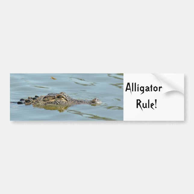 Alligators Rule Bumper Sticker (Front)