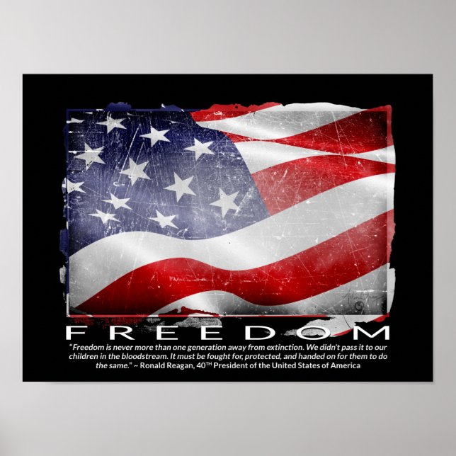 Allin Grey "FREEDOM" Poster (Front)