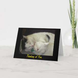 Allis & Abbie Thinking of You Greeting Card