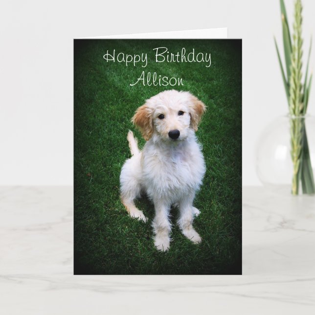 Allison Happy Birthday Golden Doodle Puppy Card (Front)