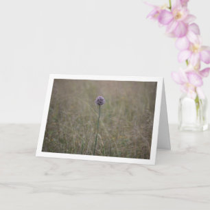 Allium, Allium Ampeloprasum, Wild Leek Card