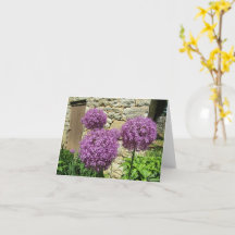 Allium card (blank)