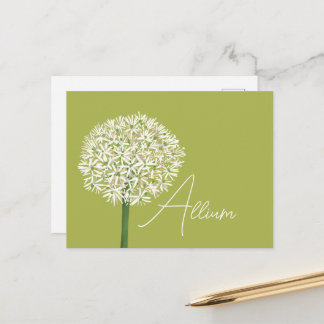  Allium Flower Botanical Art | Elegant Flora Postcard