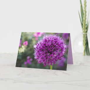 ALLIUM FLOWER THINIKING OF YOU CARDS