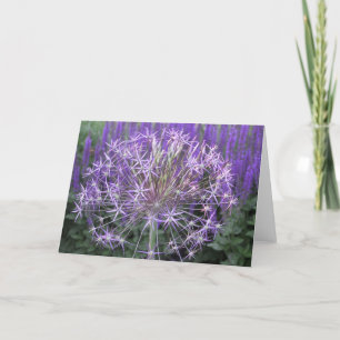 Allium/Salvia Card
