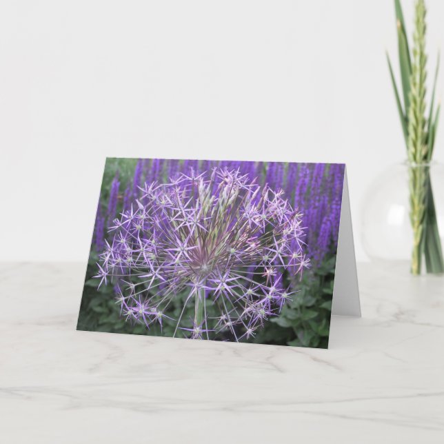 Allium/Salvia Card (Front)
