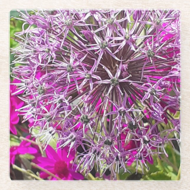 Allium & Summer Flowers  Glass Coaster (Front)