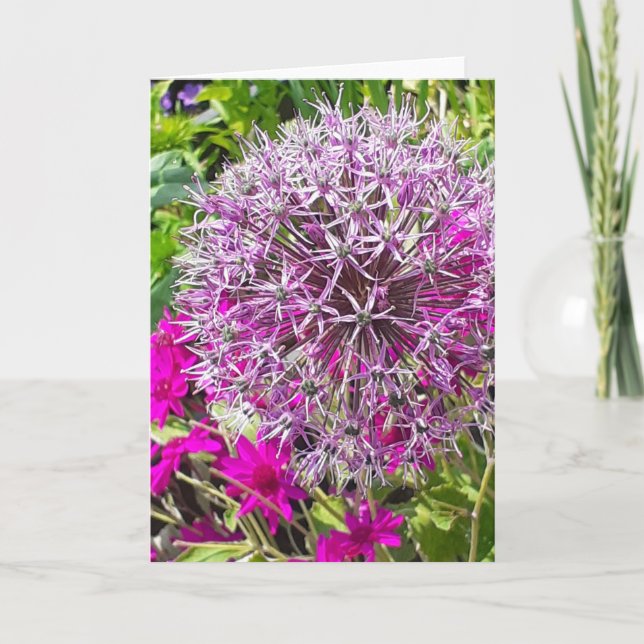 Allium & Summer Flowers Greeting Card (Front)