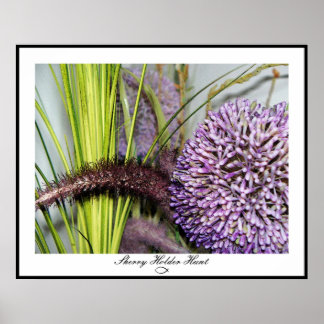 Allium Watercolor - Colossal Size Poster