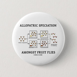 Allopatric Speciation Amongst Fruit Flies 6 Cm Round Badge