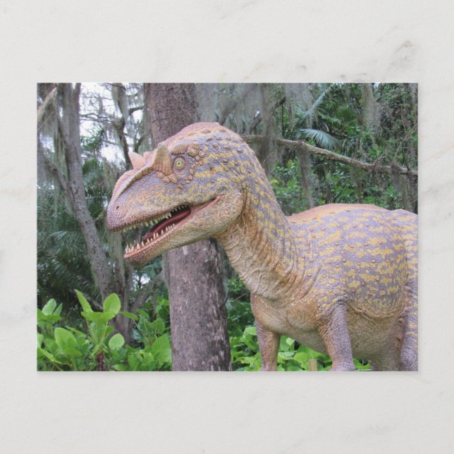 Allosaurus - Dinosaur - Learning Card (Front)
