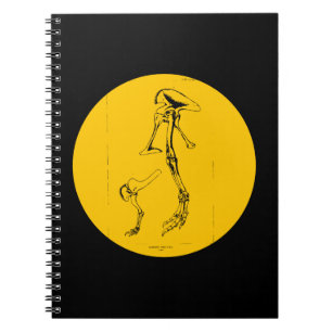 Allosaurus Fragilis Notebook