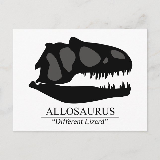 Allosaurus Skull Postcard (Front)