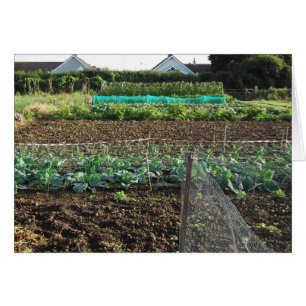 Allotment