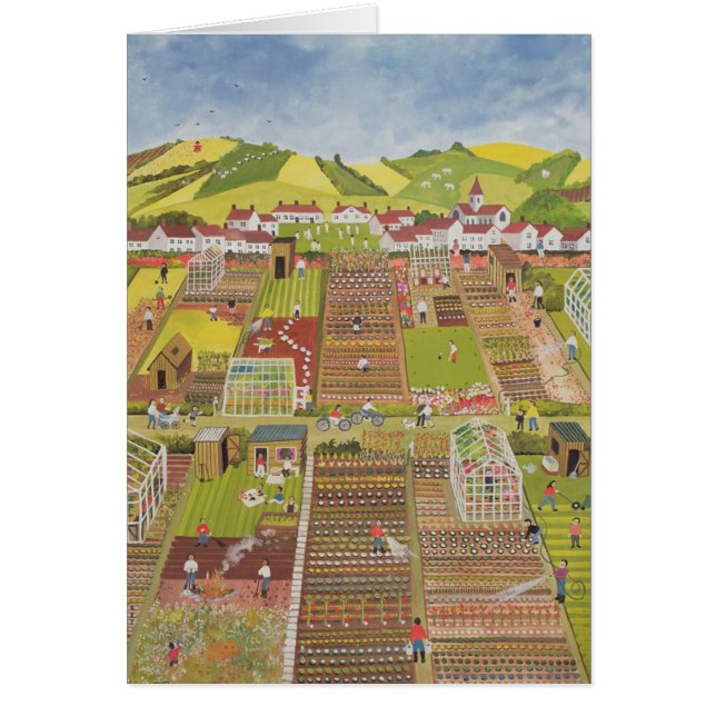 Allotments 2 (Front)