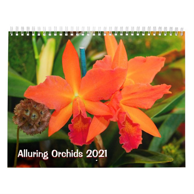 Alluring Orchids 2021 Calendar (Cover)