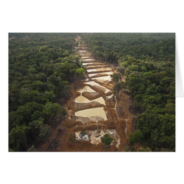 Alluvial Gold Mining. Rainforest, Guyana. (Front Horizontal)