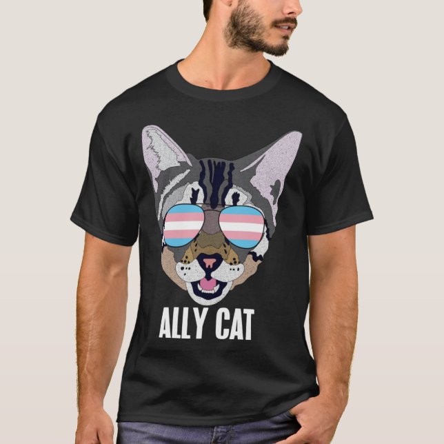 Ally Cat  Funny Cat Trans Pride Pullover Hoodie (Front)