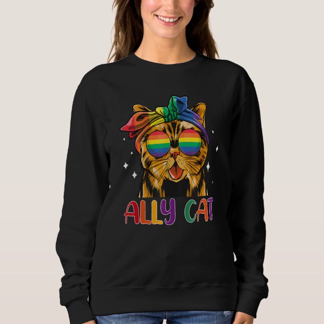 Ally Cat LGBT Gay Rainbow Pride Flag Funny Cat Lov Sweatshirt (Front)