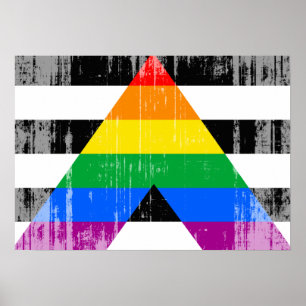 ALLY FLAG DISTRESSED -.png Poster