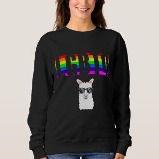 Ally Pride LGBTQ Equality Rainbow Lesbian Gay Tran Sweatshirt