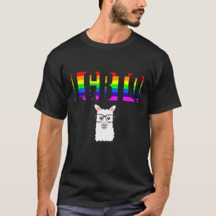 Ally Pride LGBTQ Equality Rainbow Lesbian Gay Tran T-Shirt