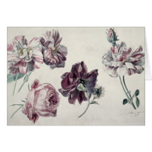 Alma-Tadema Roses