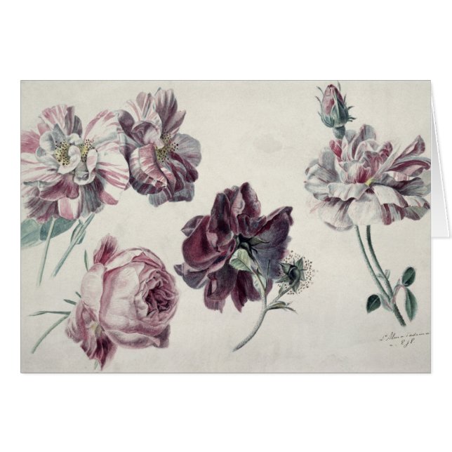 Alma-Tadema | Roses (Front Horizontal)