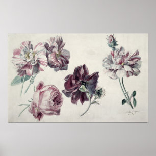 Alma-Tadema Roses Poster