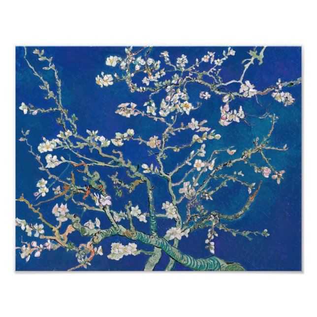 Almond Bloom (Indigo) | Van Gogh | Photo Print (Front)